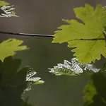 Cascina Marcantonio Séjour à la ferme
