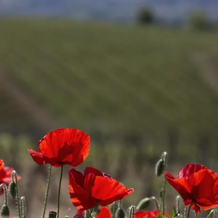 Agroturismo Cascina Marcantonio *