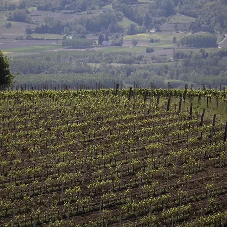 Cascina Marcantonio Agroturismo *