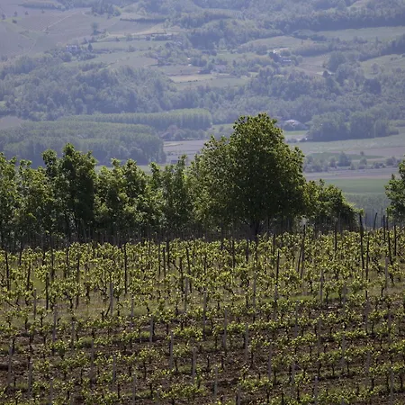 Agroturismo Cascina Marcantonio Acqui Terme