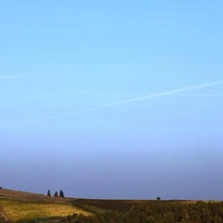 农家乐 卡希纳尼欧农家乐