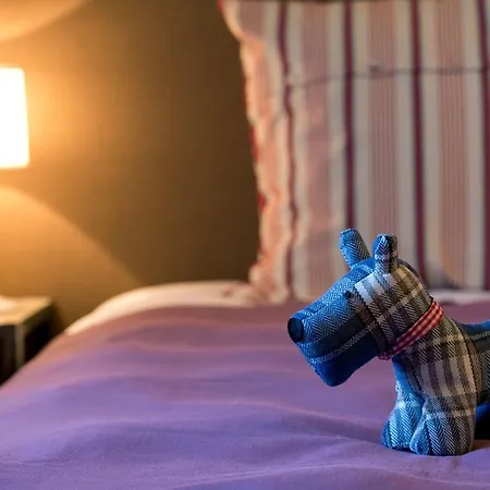 卡希纳尼欧农家乐 * 阿奎泰尔梅