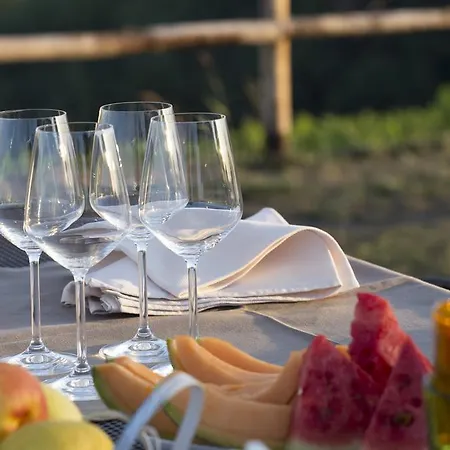 卡希纳尼欧农家乐 * 阿奎泰尔梅