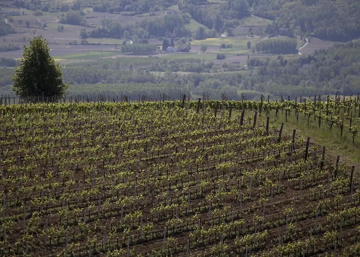 Cascina Marcantonio Farma *