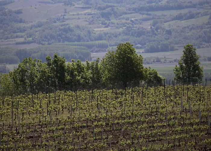Farma Cascina Marcantonio Acqui Terme